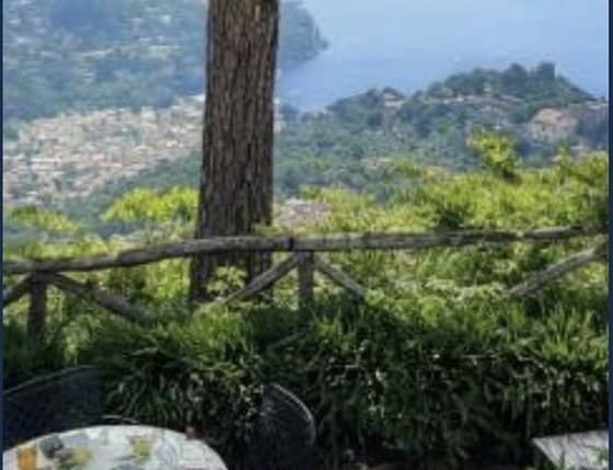 A pine tree over a small terrace table at La Dolce Vita Ravello, the Amalfi coast far below